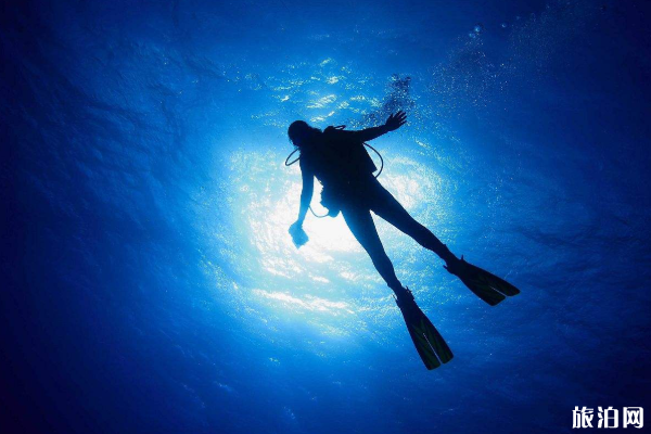 初次潜水注意事项和技巧
潜水怎么控制呼吸