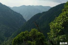 鬼子寨风景区旅游攻略-门票价格-景点信息