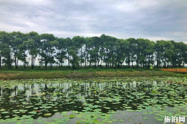 2022富锦国家湿地公园旅游攻略