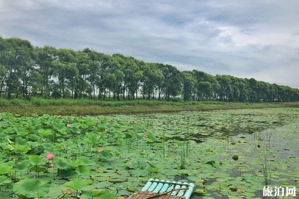 2022富锦国家湿地公园旅游攻略