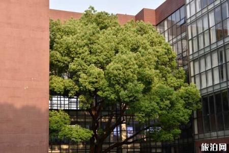 2023湖南师范大学旅游攻略 - 门票价格 - 开放时间 - 景点介绍 - 简介 - 交通 - 地址 - 天气