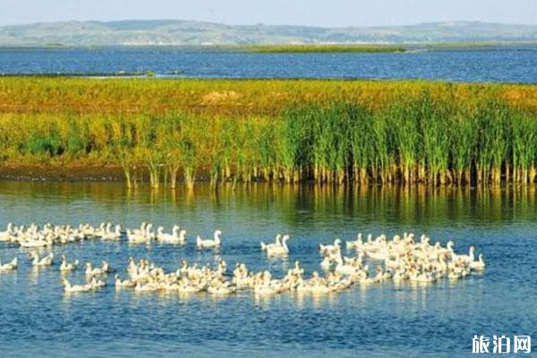 2022呼兰河口湿地公园旅游攻略