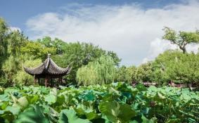 苏州拙政园等园林景区开放 时间-预约规定