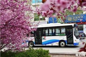 2020山东公交什么时候恢复和恢复班次