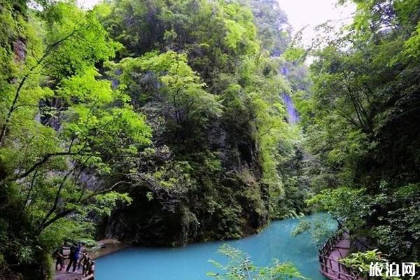 湖北尧治河国家景区终身免票优惠 附相关政策