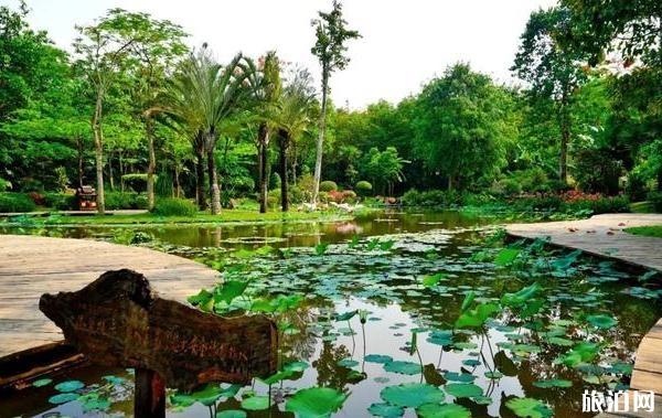 西雙版納曼聽公園旅游攻略