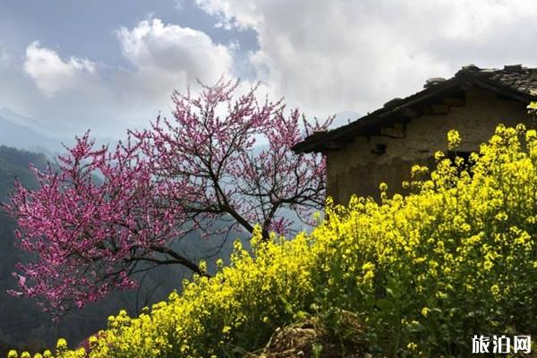 安徽66家A級景區恢復開放 黃山最佳旅游時間