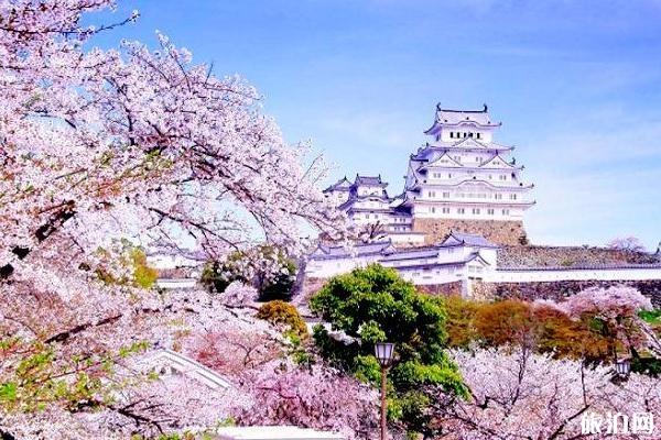 2020日本樱花季节是几月份