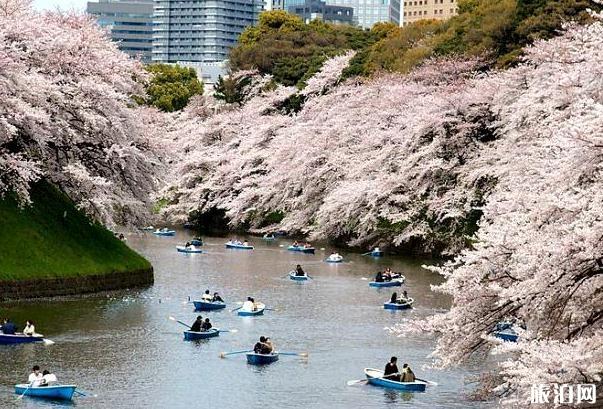 2020日本樱花季节是几月份