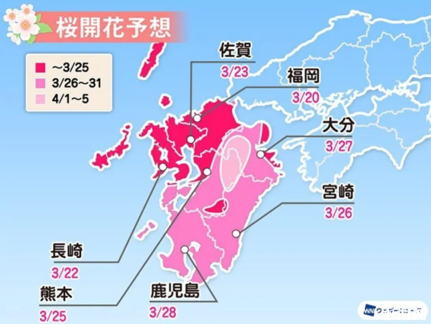 2020日本樱花开放时刻表 日本樱花从哪里开始开