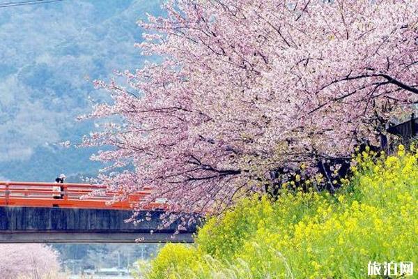 2020日本樱花季活动取消的有哪些和三月份取消活动整理