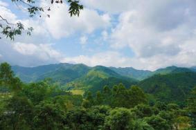 云浮大云雾山旅游区游玩攻略-门票价格-景点信息