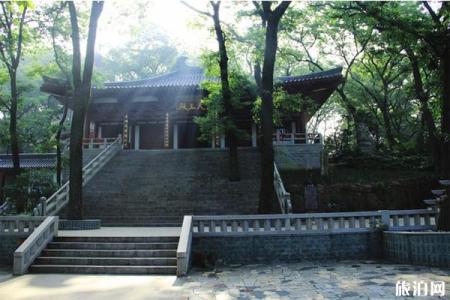 2023紫蓬山国家森林公园旅游攻略 - 开放时间 - 门票价格 - 地址 - 交通