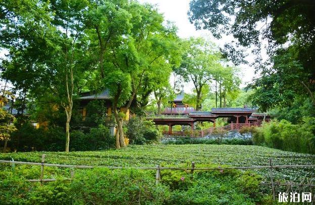 永祸寺战韬光寺供签灵验吗