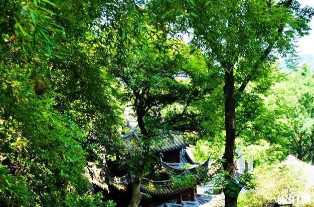 永福寺和韬光寺求签灵验吗