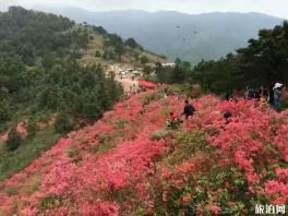2020黄陂木兰云雾山杜鹃花海时间