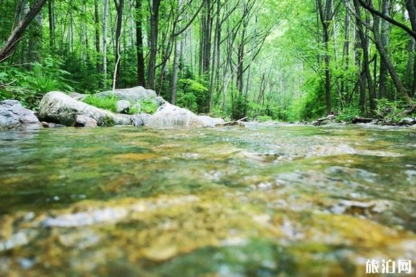 2020威虎山九寨风景区旅游攻略 门票交通天气