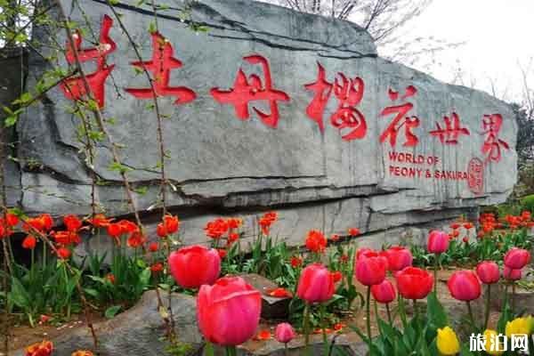 重庆垫江牡丹樱花世界门票多少?什么时候开放?