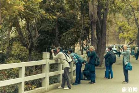 2022蚌埠张公山风景区旅游攻略 - 景点介绍 - 交通