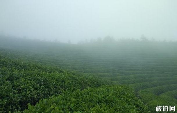 大嵩岭古道路线图 大嵩岭古道多少时间