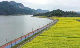 2020诸暨市布谷湖油菜花开了吗