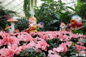 石家庄植物园郁金香花期 什么时候开