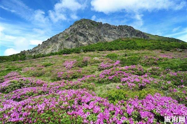 济州岛汉拿山登山路线-开放时间