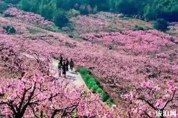 2020雪窦山风景区对医护人员免费