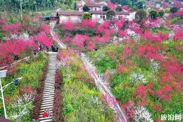 聂鑫规复知觉 大妇：逝世命应当保住了