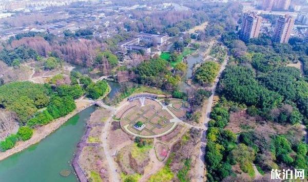 2020上海植物园开放时间及游玩攻略 上海植物园现在开放吗 