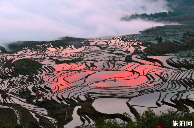 云南全年最佳观赏时间景点 云南适合几月份去旅游