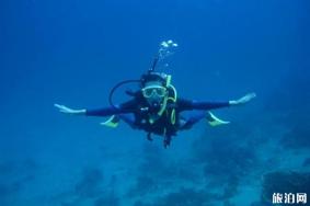 水肺潜水装备详解 潜水员证要多少钱
