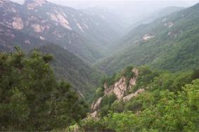 2024孝昌双峰山国家森林公园游玩攻略-门票价格-景点信息