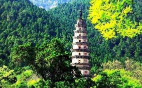 2020灵岩寺景区恢复开放 时间-范围-门票