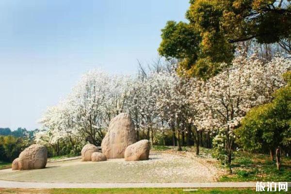 2020上海共青森林公园何时开放 春季赏花攻略