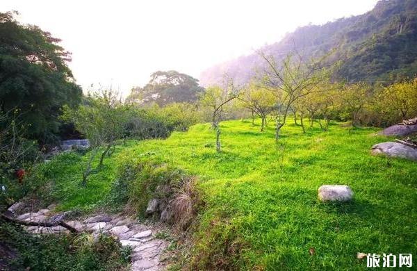 新兴天露山好玩吗 新兴天露山徒步攻略