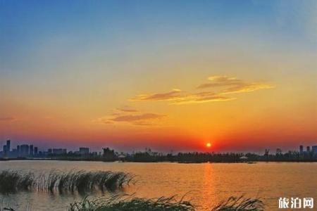 2022铜陵西湖城市湿地公园旅游攻略 - 门票 - 景点介绍