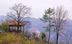 北川药王谷门票多少钱 景点介绍