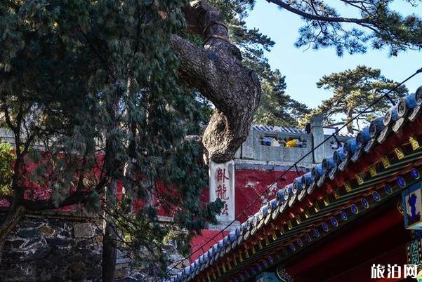 北京戒臺寺在哪里 怎么去 交通攻略