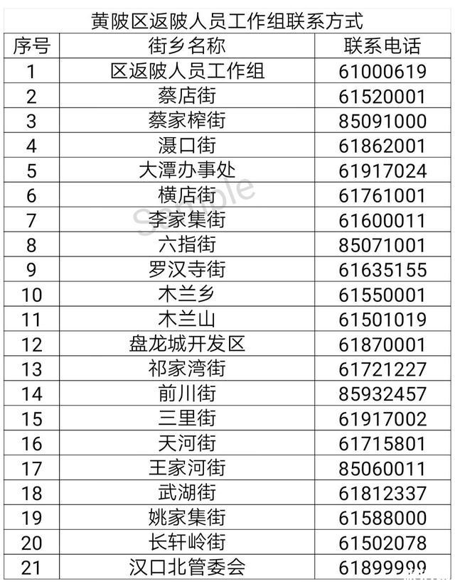 武汉内14个行政区返汉需要哪些证明 附各地政策-联系方式