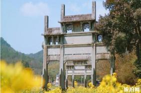 徽州春天赏花地点推荐