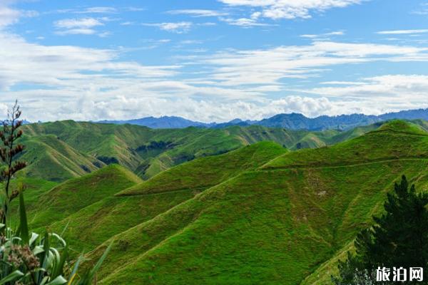 新西兰北岛到北岛如何往