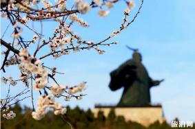 2020芒砀山景区开放时间和门票优惠政策