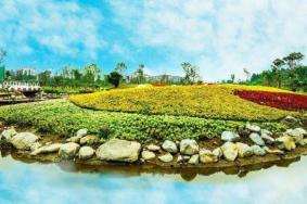 天府芙蓉园开园时间2020 天府芙蓉园开门了吗