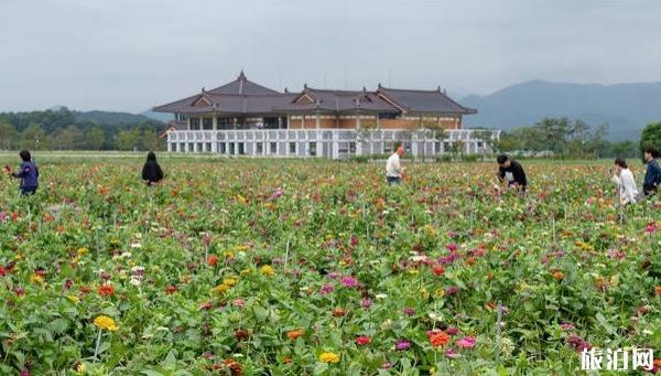 韩国皇龙寺好玩吗 皇龙寺介绍