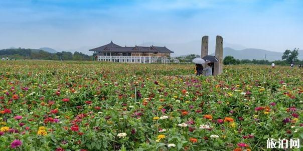 韩国皇龙寺好玩吗 皇龙寺介绍