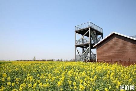 2023小岗村乡村旅游区旅游攻略 - 门票价格 - 交通 - 地址