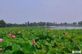 阳澄湖半岛骑行路线和沿线景点介绍