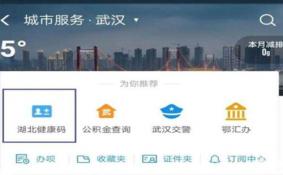 湖北健康码更新 代办功能下线