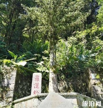 泉州清水岩寺详细介绍 清水岩寺在哪里